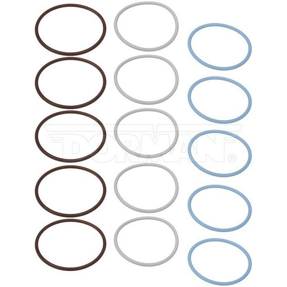 Dorman 904-8053 Injector O-Ring Kit