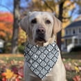 thumbnail image 2 of Dog Bandana 1 Pack,Blue and White Intricate Pattern Bandanas for Dogs,Cat Bandana,Small/ Large Dog Bandana 2 Size,Dog Bandanas, 2 of 6