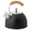 BLACK, variant on CHUNTIAN Stainless Steel Water Kettle Wooden Handle Hemispherical Blue 3L Whistle Pot Induction Cooker Household Kitchen Supplies