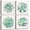 Green Succulent Plants, variant on Burnt Orange Wall Art Black and White Wall Decor Rose Floral Pictures Kitchen Accessories Flower Love Themed Canvas Prints Paintings Modern Artwork Bathroom Salon Home Decorations 4Pcs/Sets 14x14