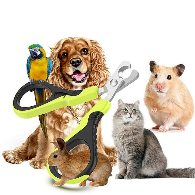 Paquete de 2 cortaúñas profesionales para mascotas, tijeras para garras de gato, cabezal de corte único de 25 grados, ideal para perros pequeños, cachorros, gatos y conejos Rojo Verde