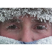 Antarctica: A Year on Ice (DVD), Music Box Films, Special Interests