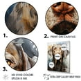 thumbnail image 3 of Designart "Majestic Portrait Of The Weimaraner V" Animals Dog Floater Framed Canvas Wall Art, 3 of 5