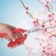 thumbnail image 4 of Stainless Steel Garden Pruning Scissors Plant Cutter Flower Fruit Branch Shears Tool, 4 of 4