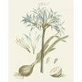 thumbnail image 2 of Miller, John 26x32 White Modern Wood Framed Museum Art Print Titled - Bashful Blue Florals II, 2 of 4