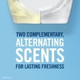 thumbnail image 6 of Febreze Plugs Air Freshener Refills 5 Pack Gain Scent, 6 of 7