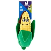 Vibrant Life Cozy Buddy Veggie Dog Toy, Character May Vary, Chew Level 1