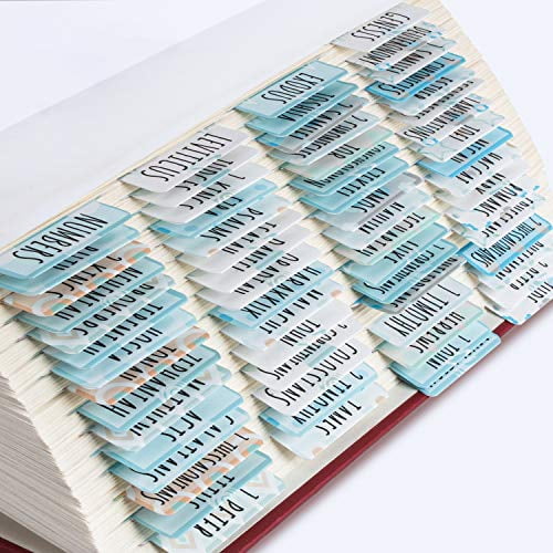 Large Print and Easy-to-Read Bible Journaling Supplies 2PCS Bible Tabs Old and New Testament 66 Books, 14 Blanks Personalized Bible Tabs for Women Laminated 80 Bible Index Tabs . 