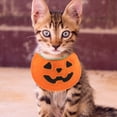 thumbnail image 4 of UPOUART Bandana Para Mascotas Con De Calabaza Para Celebraciones, 4 of 6