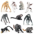 thumbnail image 2 of Toys & Games Children'S Simulation Zoo Mini Gibbon Lemur Gibbon Desktop Animal Ornament Model 10Pcs Yry, 2 of 9