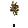 thumbnail image 1 of Vickerman FH190270 Arbre Magnolia en Pot Vert de 7 Pieds, 1 of 1