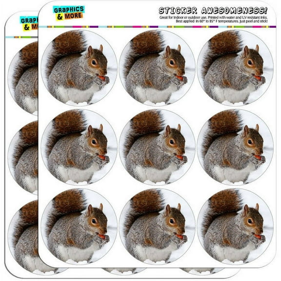 Squirrel Eating in Winter 18 2" Planner Calendar Scrapbooking Crafting Stickers