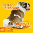 thumbnail image 5 of GoGo Stik Dog & Cat Wipes - Hypoallergenic Bamboo Pet Wipes with Citrus Scent, 100 Count, 5 of 12