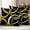 Yellow, variant on Black Geometric Outdoor Waterproof Pillow Covers, Modern Sage Green White Striped Art Decorative Square Throw Pillowcase Sofa Cushion Sham for Patio/Couch/Chair, 26"x26" 2 Pack
