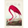 thumbnail image 2 of Audubon, John James 11x14 White Modern Wood Framed Museum Art Print Titled - Pl 431 American Flamingo, 2 of 4