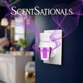 thumbnail image 2 of Scentsationals Plug in Air Freshener Starter Set – Swivel Plug Fragrance Oil Diffusers & 2 Long Lasting Scent Refills - Magic Spell, 2 of 5