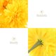 thumbnail image 3 of unbranded 10Ud Flores Artificiales De Amarillo Con Adaptables Para Arreglos Y Centros Decorativos, 3 of 8
