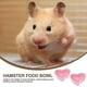 thumbnail image 3 of 2pcs Small Animal Bowls, Hamster Bowl Small Animals Ceramic Food Water Bowl Hamster Food Bowl, 3 of 5