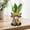 B 2G7, variante sur Rvkxad Tuile de Sol Décorative en Acrylique, Insert de Jardin pour Cour avec Plante en Pot, Tuile de Jardin Déco de Cour