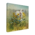 thumbnail image 2 of Trademark Fine Art 'Farm and Field I' Canvas Art by Danhui Nai, 2 of 3