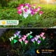 thumbnail image 5 of Luces solares para exteriores WDTPro Garden, paquete de 10 con 40 flores de lirio, 5 of 7