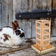 thumbnail image 4 of OULII Self-Feeding Rack De Madera Para Conejos Con Material Premium Y Fácil Limpieza, 4 of 6