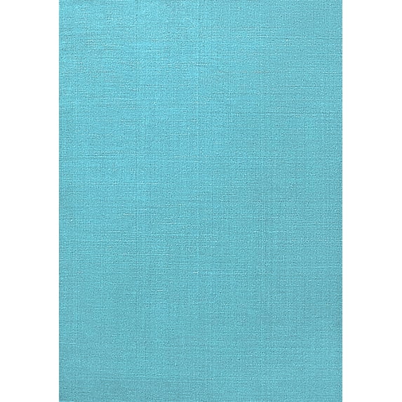 Ahgly Company Indoor Rectangle Oriental Light Blue Industrial Area Rugs, 2' x 3'