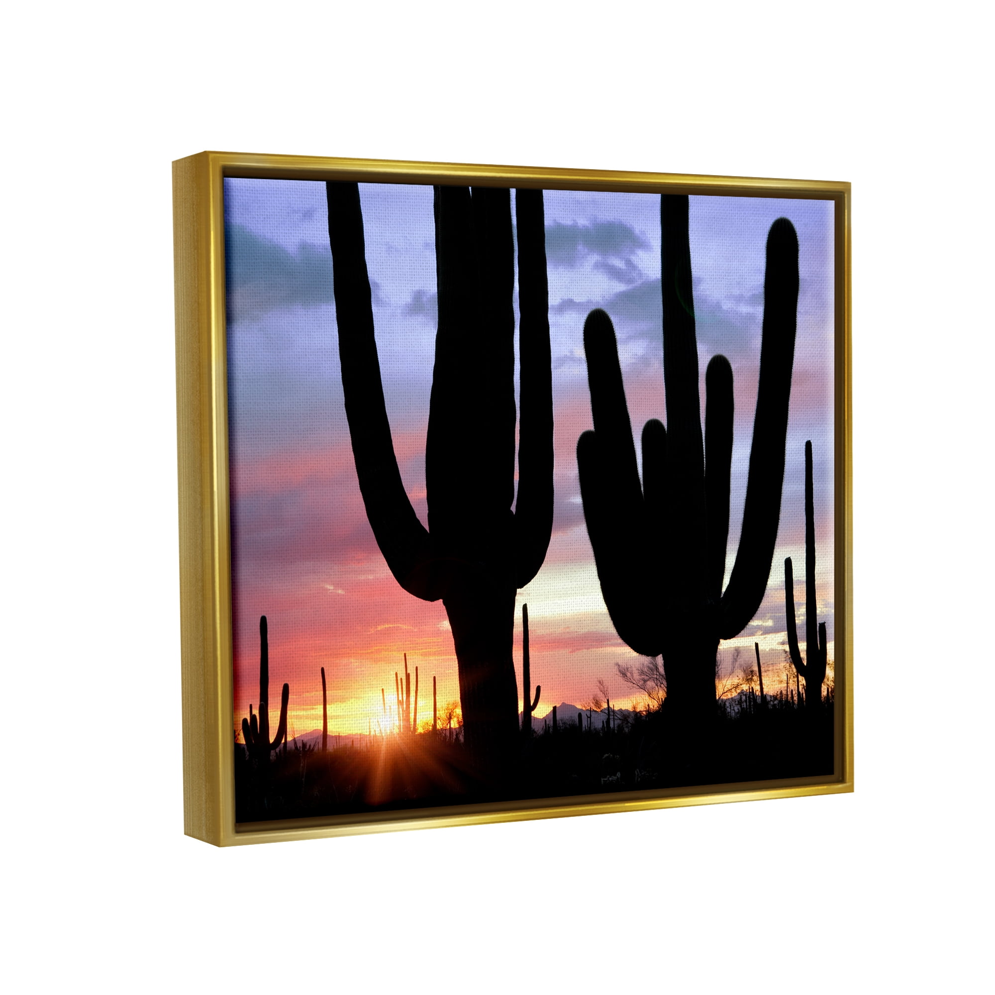 Stupell Industries Desert Cactus Sunset Silhouettes Landscape Photography Gold Floater Framed Art Print Wall Art