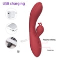 thumbnail image 5 of Rabbit Vibrator, Centerel G Spot Vibrator with 12 Powerful Vibrations Dual Motors, Rechargeable Adult Sex Toys for Women, Red, 5 of 9