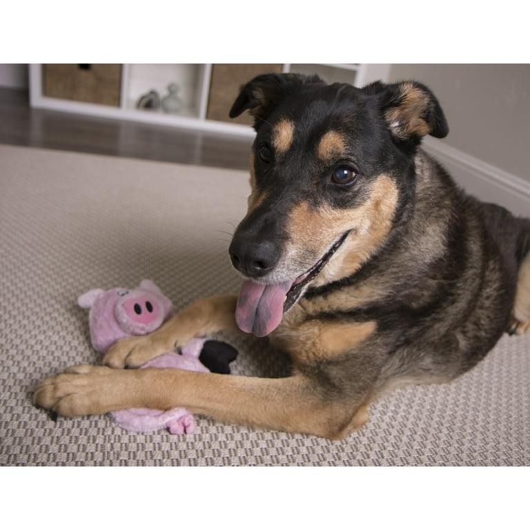 Skip the Squeaker With These 7 Noiseless Dog Toys