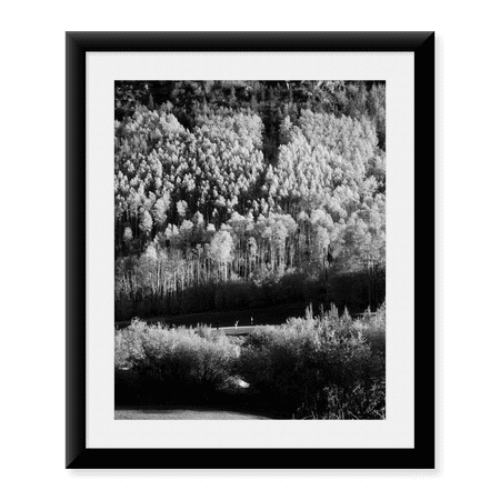 Framed Art Print, Aspens Over Vail, Colorado USA by Carol Highsmith, 17-7/8" x 21-7/8"