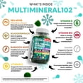 thumbnail image 3 of Sea Moss Gummies | Clinically Tested - Black Seed Oil Ashwagandha Elderberry Burdock Root Chlorella Manuka Honey - Vegan Irish Sea Moss Gummy Vitamins for Adults Kids Men Women - Green Apple Flavor, 3 of 9