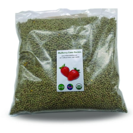 Green Lentils 10 lbs (ten pounds) USDA Certified Organic, Non-GMO, Bulk by Mulberry Lane Farms