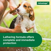 Advantage Dog Flea & Tick Shampoo for Puppies & Adult Dogs, Kills Fleas & Ticks, 8 oz.