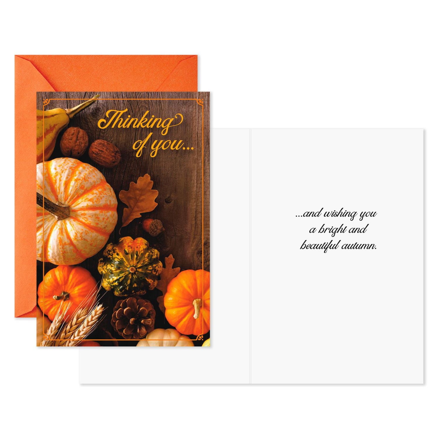 Hallmark Pumpkins and Leaves Thinking of You Cards (8 Cards With Envelopes)