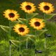 thumbnail image 4 of Paquete De 2 Luces Solares Para Jardín, Girasol, Estaca De Flores Resistente Al Agua Para Patio Exterior, Césped, Iluminación Decorativa Muyoka Hogar, 4 of 7