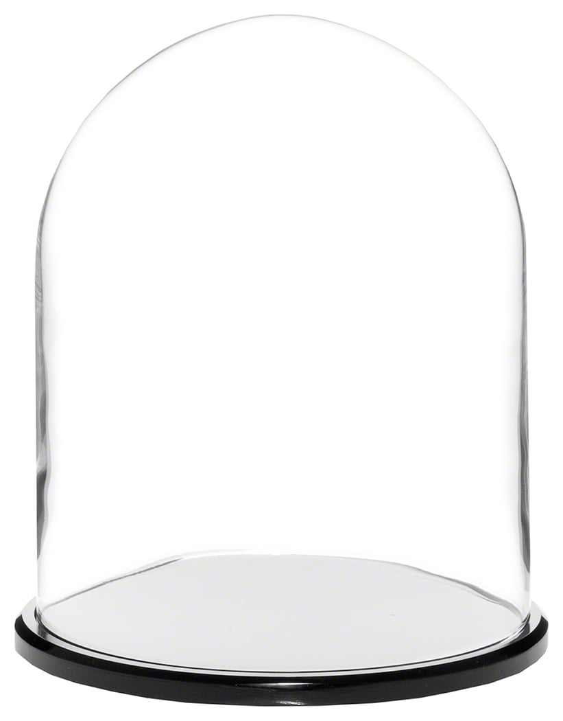 no Base Plymor 8" x 10.25" Glass Display Dome Cloche 