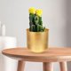 thumbnail image 2 of Outdoor Plant Planter Iron Succulent Planter Pot Modern Style Metal Flower Pot, 2 of 3