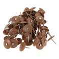 thumbnail image 1 of unbranded 200Ud Clavos Para Con Tapas Plásticas Para Fijar Aislante Y Lámina, 1 of 6