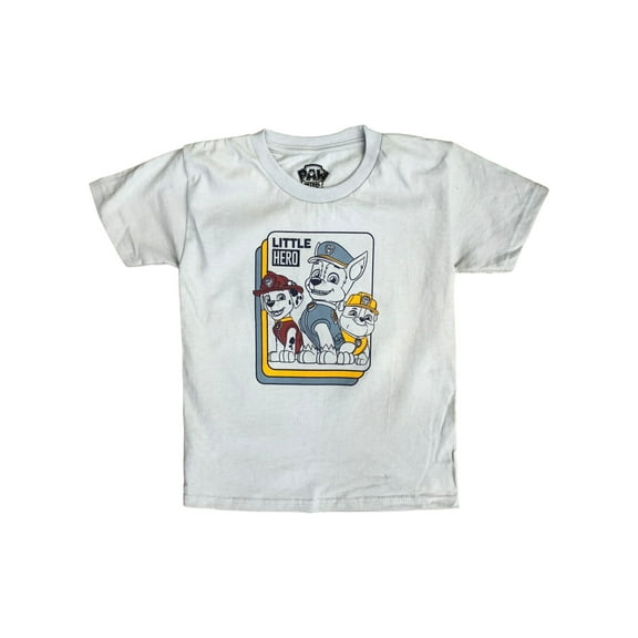 Paw Patrol Toddler Boys Short Sleeve Gray Little Hero T-Shirt Tee Shirt 3T