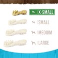 thumbnail image 5 of Merrick, Fresh Kisses Brush - Mint - Dog Treat, 5 of 5