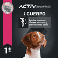 thumbnail image 4 of Eukanuba alimento para perro adult raza mediana 7.26kg, 4 of 4