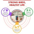 thumbnail image 5 of Morning Bird Calcium Plus Liquid for Birds 2 Fl Oz – Bird Vitamins for Strong Eggshells, Healthy Bones, and Baby Bird to Support Growth, Breeding, and Wellness for All Birds, 5 of 7