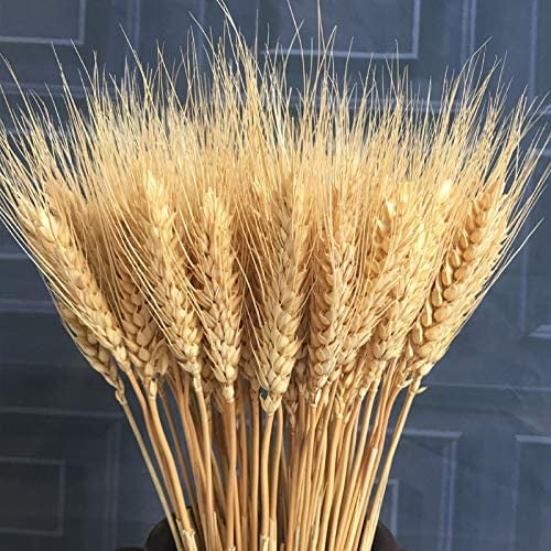 100 flores artificiales, plantas artificiales, gavillas de trigo seco natural, racimos de tallos de trigo seco, trigo real para suministros de corona, decoración de Navidad para el hogar, (natural) oso de fresa Juguete