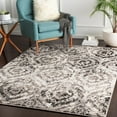 thumbnail image 2 of Surya Agra Polypropylene 2' X 3' Rectangle Area Rugs AGR2304-23, 2 of 7