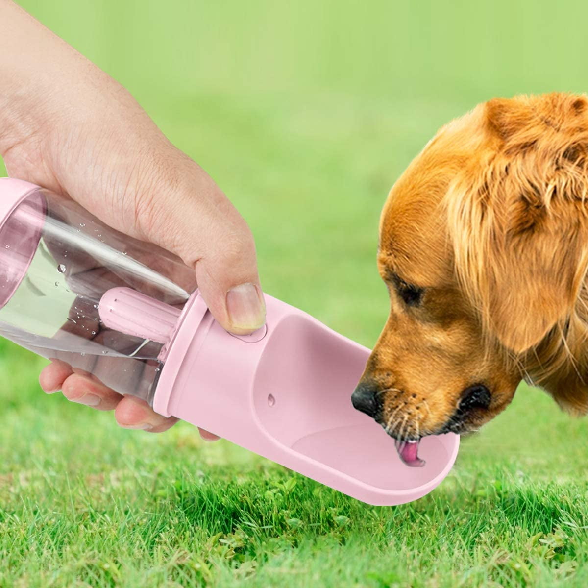 Dog drinking cup deals