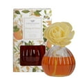 thumbnail image 1 of Greenleaf Gifts Unique Blooming Highly Fragranced Flower Diffuser Air Freshener-Orange & Honey, 1 of 3