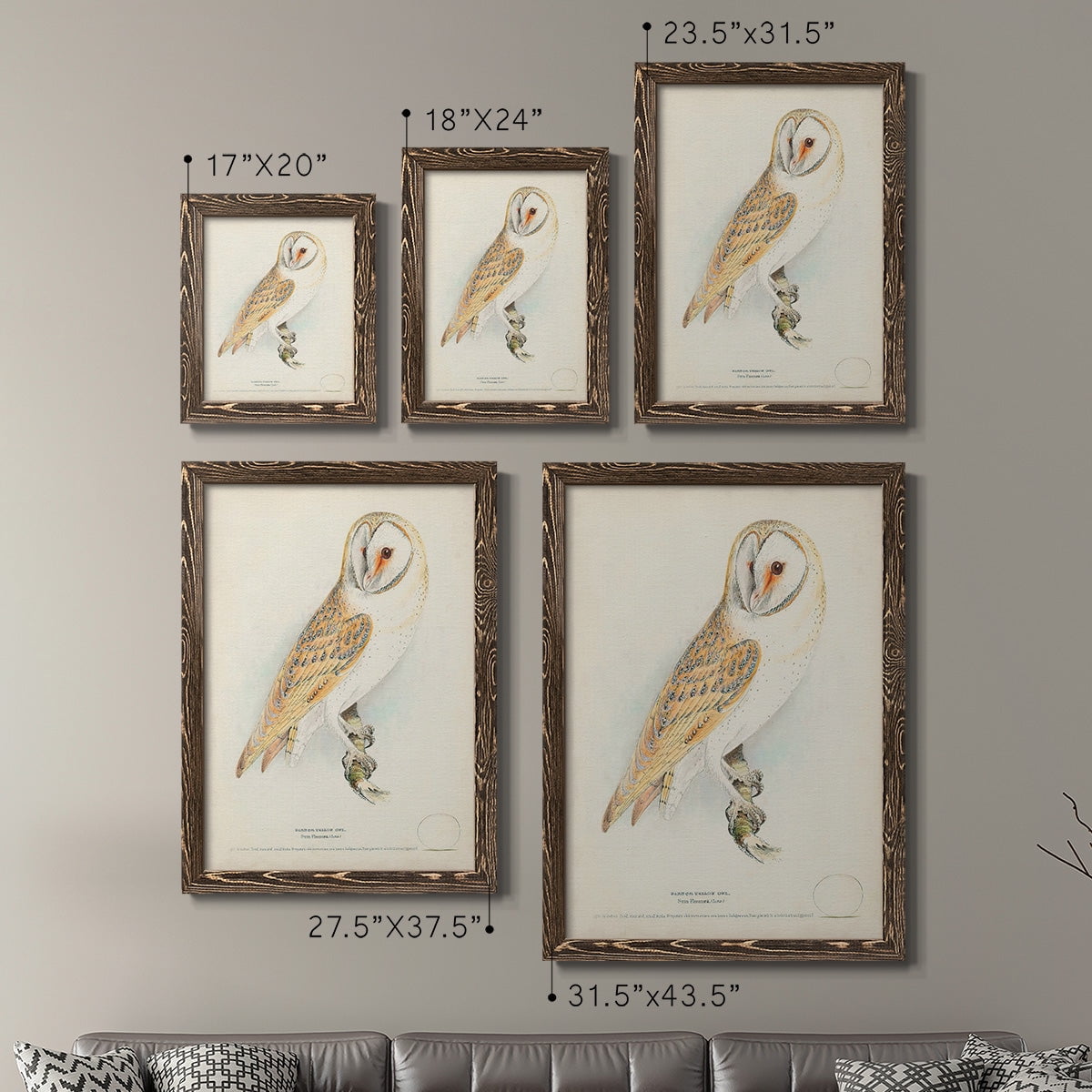 Barn Owl - Premium Framed Canvas 2 Piece Set - Ready to Hang