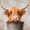 Highland Cow in Bucket, variant on Qisvanset Vintage Frog Canvas Wall Art 15.75x11.81 INCHES