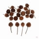thumbnail image 1 of 2x 50 Piezas Flores Naturales Prensadas y Secas para Decoración DIY Artesanías de Decoración de Pared, 1 of 9